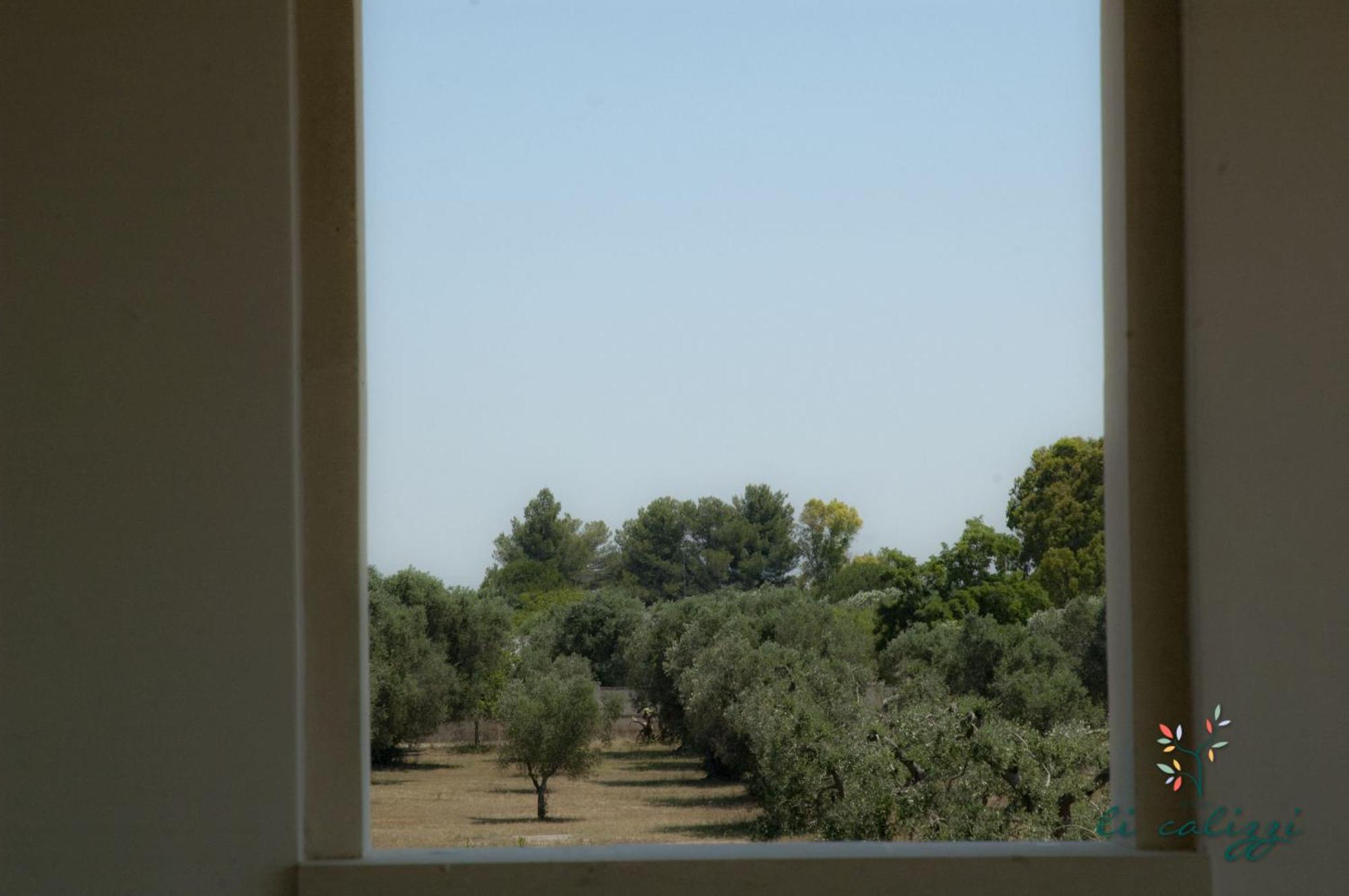 Agriturismo Li Calizzi Arte E Natura Novoli Szoba fotó